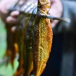 Feriegård Kolonia Mazurska Mierki *