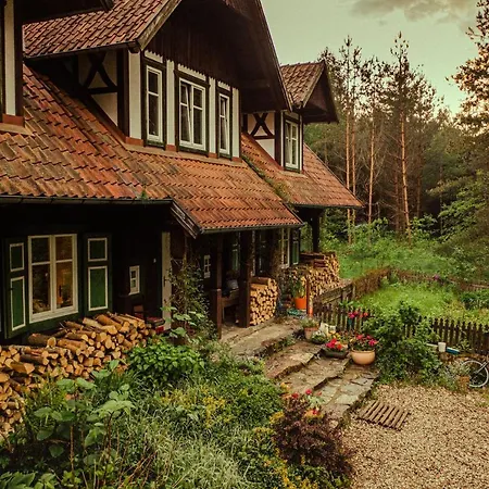 Kolonia Mazurska Mierki Farm stay Olsztynek