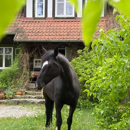 Kolonia Mazurska Mierki Bauernhof