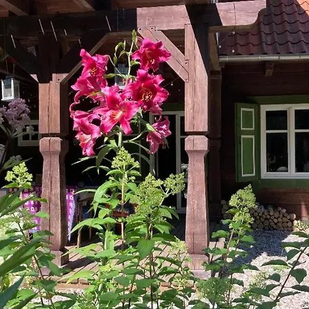 Bauernhof Kolonia Mazurska Mierki *