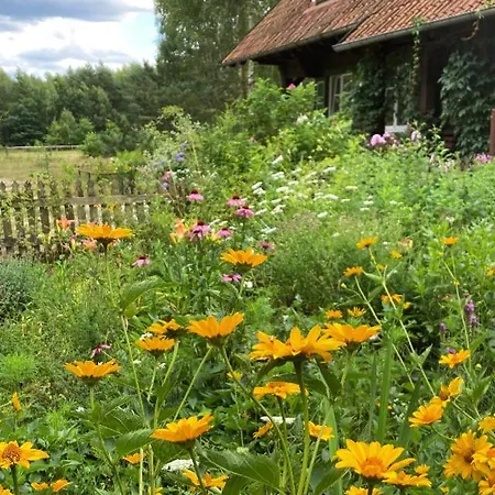 Kolonia Mazurska Mierki *