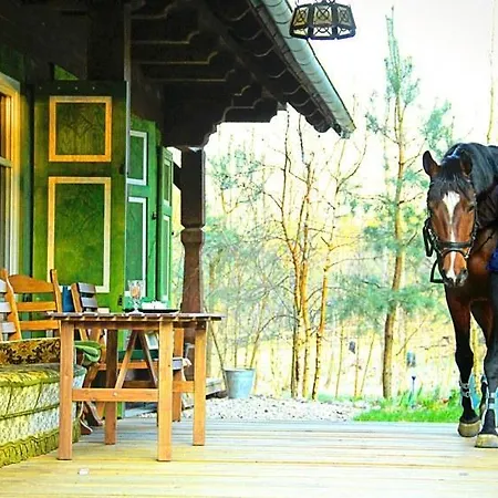 Farm stay Kolonia Mazurska Mierki