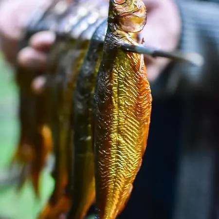 Lantgård Kolonia Mazurska Mierki *